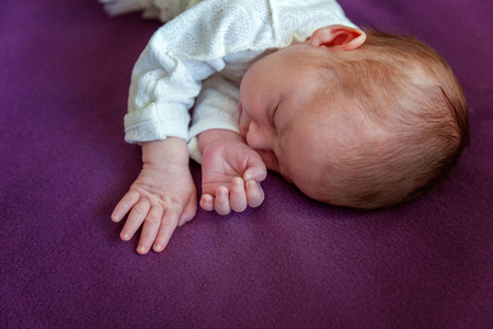 Soft portrait of peaceful sweet newborn infant baby lying on bed while sleeping in purple blanket background. Sweet dream, good night. Maternity family childhood innocence care conceptの写真素材
