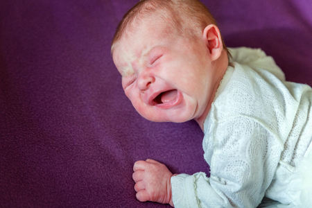 Soft portrait of peaceful sweet newborn infant baby lying on bed while sleeping in purple blanket background. Sweet dream, good night. Maternity family childhood innocence care conceptの写真素材