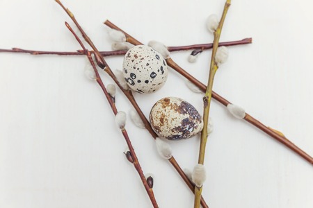 Spring greeting card. Easter eggs and willow branch on rustic white wooden background. Easter concept. Flat lay top view copy spaceの写真素材