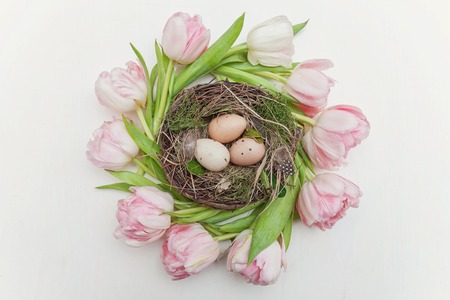 Spring greeting card. Easter eggs in nest and pink fresh tulip flowers bouquet on rustic white wooden background. Easter concept. Flat lay top view copy space. Spring flowers tulipsの写真素材