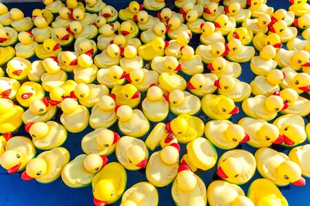 Many rubber yellow toy ducks floating in children's pool close upの写真素材