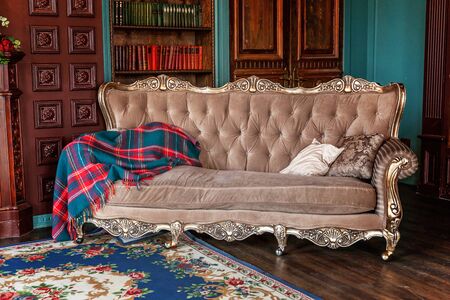 Luxury classic interior of home library. Sitting room with bookshelf, books, arm chair, sofa and...