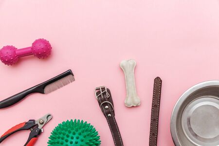 Pet care and animals concept. Toys and accessories for dog playing and training isolated on pink pastel trendy background. Flat lay with ball bone clicker claw cutter dish collar. Top view copy spaceの写真素材