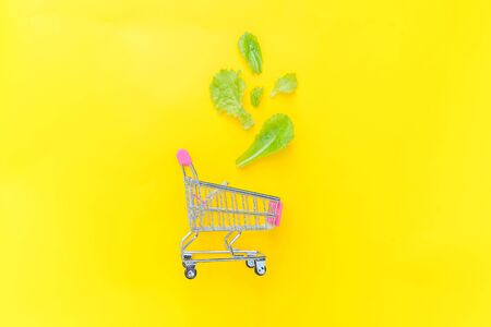 Ecology eco products health food vegan vegetarian concept . Small supermarket grocery push cart for shopping with green lettuce leaves isolated on yellow colourful trendy background. Copy spaceの写真素材
