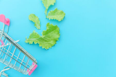 Ecology eco products health food vegan vegetarian concept . Small supermarket grocery push cart for shopping with green lettuce leaves isolated on blue pastel colorful background. Copy spaceの写真素材