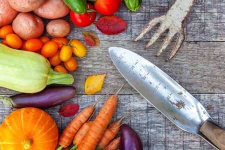 Assortment different fresh organic vegetables and gardening tools on country style wooden background. Healthy food vegan vegetarian eating dieting concept. Local garden produce clean foodの写真素材