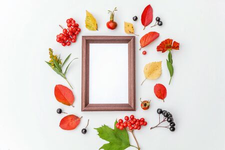 Autumn floral composition. Vertical frame mockup chokeberry rowan berries colorful leaves dogrose flowers on white background. Fall natural plants ecology concept. Flat lay top view copy spaceの写真素材