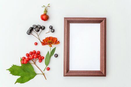 Autumn floral composition. Vertical frame mockup chokeberry rowan berries colorful leaves dogrose...