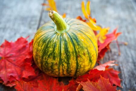 Natural autumn fall view pumpkin and maple leaves on wooden background. Inspirational october or september wallpaper. Change of seasons, ripe organic food concept. Halloween party Thanksgiving dayの写真素材