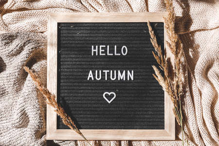 Autumnal Background. Black letter board with text phrase Hello Autumn and dried plant lying on white knitted sweater. Top view flat lay. Thanksgiving banner. Hygge mood cold weather conceptの写真素材