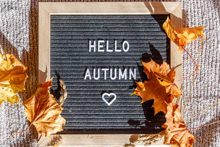 Autumnal Background. Black letter board with text phrase Hello Autumn and dried leaves lying on white knitted sweater. Top view flat lay. Thanksgiving banner. Hygge mood cold weather conceptの写真素材
