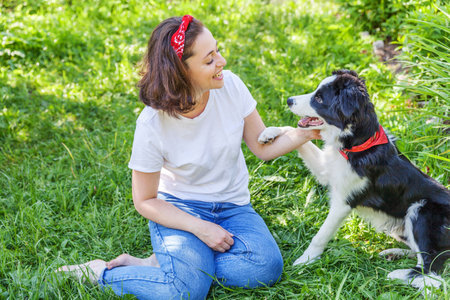 Smiling young attractive woman playing with cute puppy dog border collie in summer garden or city park outdoor background. Girl training trick with dog friend. Pet care and animals conceptの写真素材