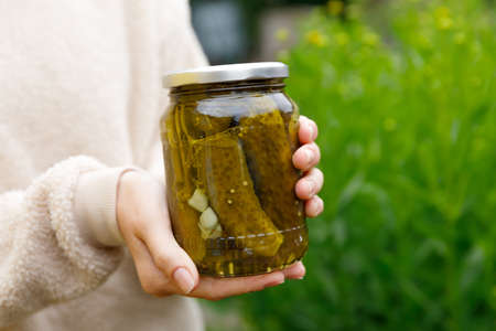 Woman housewife hand holding glass jar of pickled cucumbers. Domestic preparation pickling and canning of vegetables, winter organic food. Healthy fermented homemade food marinated cucumbers in jarの写真素材