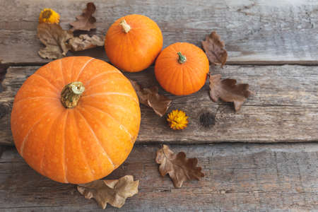 Autumnal Background. Natural autumn fall view pumpkins on wooden background. Inspirational october or september wallpaper. Change of seasons ripe organic food concept, Halloween party Thanksgiving dayの写真素材
