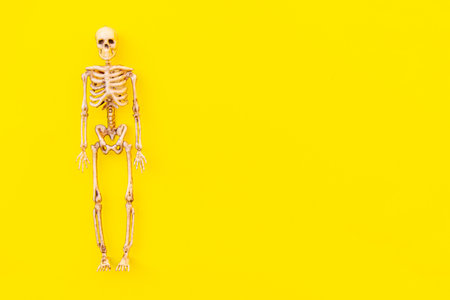 Halloween minimal decorations, composition with spooky skeleton monster isolated on yellow background. Halloween celebration trick or treat concept. Flat lay top view copy space.の写真素材