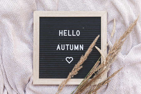 Autumnal Background. Black letter board with text phrase Hello Autumn and dried grass lying on white knitted sweater. Top view, flat lay. Thanksgiving banner. Hygge mood cold weather conceptの写真素材