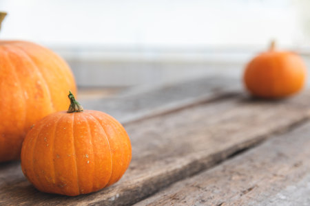 autumn background. Natural autumn fall view pumpkins on wooden background. Inspirational october or september wallpaper. Change of seasons ripe organic food concept.の写真素材