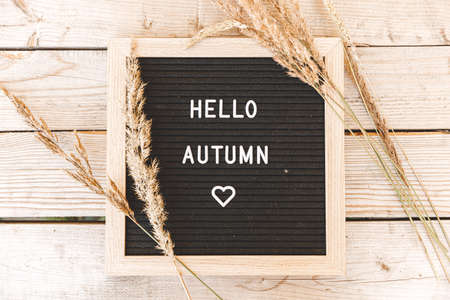 Autumnal Background. Black letter board with text phrase Hello Autumn and dried plant lying on wooden palnks. Top view flat lay. Thanksgiving banner. Hygge mood cold weather conceptの写真素材