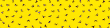 Halloween minimal banner. Holiday decorations composition with many black spiders isolated on yellow background. Halloween celebration trick or treat concept. Flat lay top view patternの写真素材