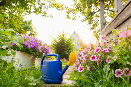 Farm worker gardening tools. Blue plastic watering can for irrigation plants placed in garden with flowers on flowerbed and flowerpot on sunny summer day. Gardening hobby agriculture concept