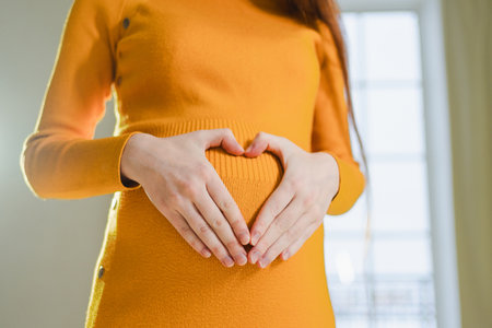 Pregnancy motherhood expectation future. Pregnant woman hands touching big belly. Girl making heart shape with hands enjoying pregnancy. Pregnant woman showing heart sign. Maternity love new lifeの写真素材