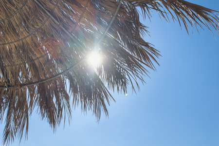 Parasol straw umbrella with sunlight rays. Straw umbrella on hot summer day by beach. Sunny blue skies warm weather enjoyed on beach under parasol made of straw. Vacation in tropical countriesの写真素材