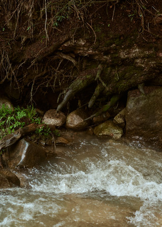 Water flows through a lush forest with trees and plants along the riverbankの写真素材