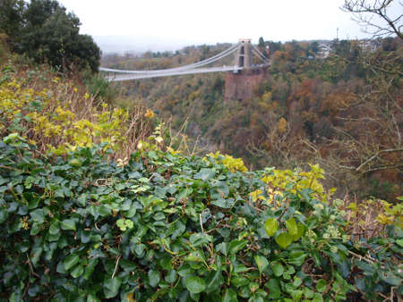 bridge and trees