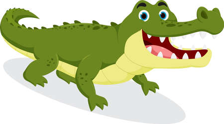 vector illustration of 	
Cute crocodile cartoon , isolated on white backgroundのイラスト素材