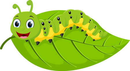 Vector Illustration of Cartoon cute caterpillar, isolated on white backgroundのイラスト素材
