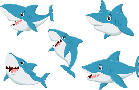 vector illustration of set of Shark cartoon isolated on white backgroundのイラスト素材
