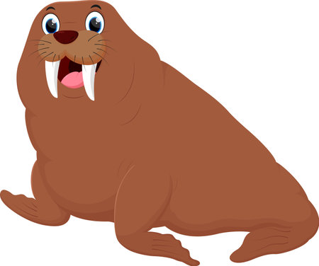 vector illustration of Cartoon funny walrus, isolated on white backgroundのイラスト素材