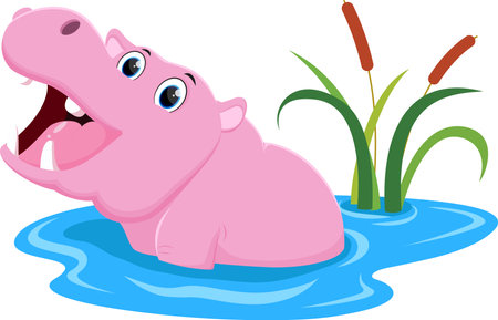 vector illustration of Cartoon happy hippo on water isolated on whiteのイラスト素材