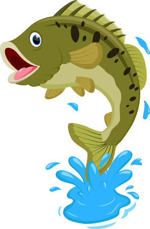 Cartoon Bass fish isolated on whiteのイラスト素材