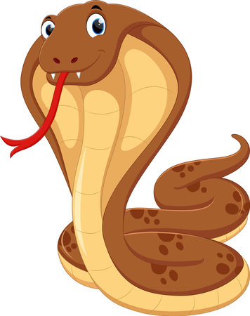 Cartoon Angry cobra cartoon isolated on whiteのイラスト素材