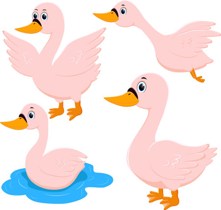Beauty goose set cartoon posing isolated on white backgroundのイラスト素材
