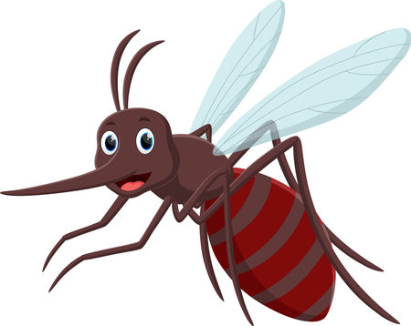 Angry mosquito cartoon isolated on whiteのイラスト素材