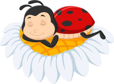 Cartoon cute ladybug sleeping on daisy flowerのイラスト素材