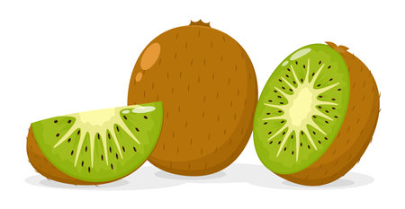 Set of fresh kiwi fruit, half and cut sliceのイラスト素材