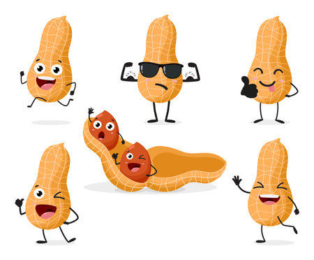 vCartoon Peanuts, set of Cute characters, Isolated on white backgroundのイラスト素材