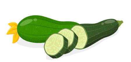 Green zucchini and Cut slices. vegetableのイラスト素材