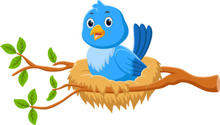 Cartoon cute Bird in the nestのイラスト素材