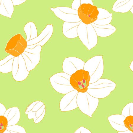 Floral pattern background with yellow or white narcissus. Daffodil flower or narcissus isolated on green background.のイラスト素材