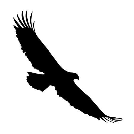 Vector flat style black silhouette illustration of a realistic flying American eagle - isolated on white background. Full editable and scalable high quality eps file available.のイラスト素材
