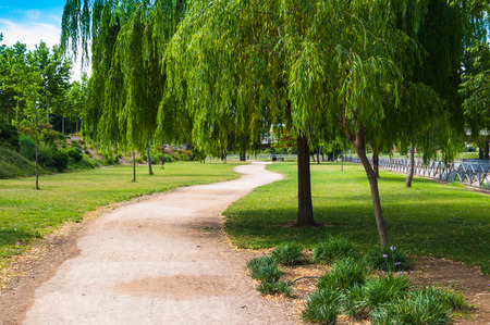 Walk River Shores riverbed Rivillasの写真素材