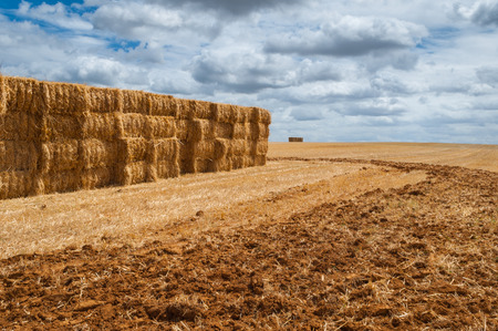 straw bales over mown field, cloud cover,detail earth raised by the plowの写真素材