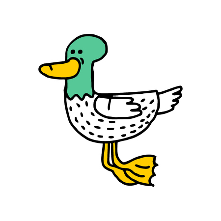 Duck cartoon isolated. Drake drawing. water Birdのイラスト素材