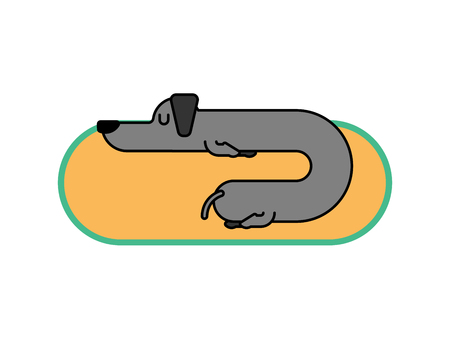 Dachshund sleeps linear style. dog is long. funny black home pet. Sleeping puppy.のイラスト素材