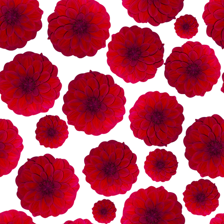Dahlia Red pattern seamless. Beautiful flower backgroundの写真素材