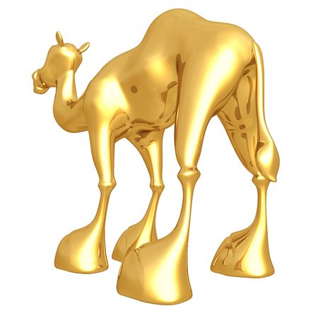 Camelの写真素材